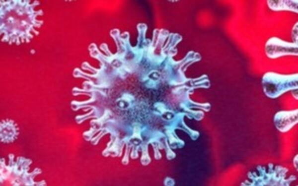 koronavirus-304_190.jpg